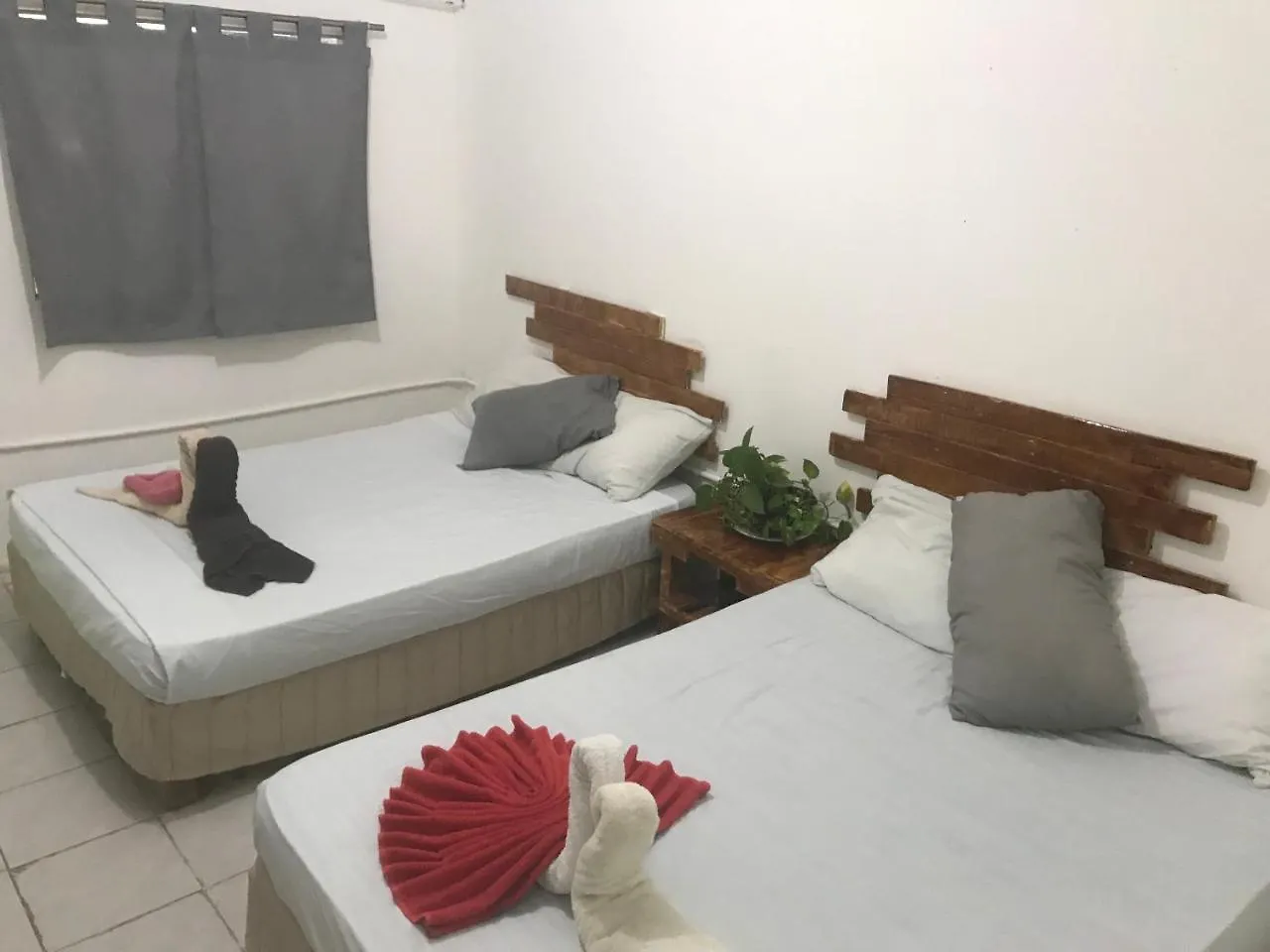 Guacamundo Beach Hostel 5Th. Ave بلايا ديل كارمن 0*,  المكسيك
