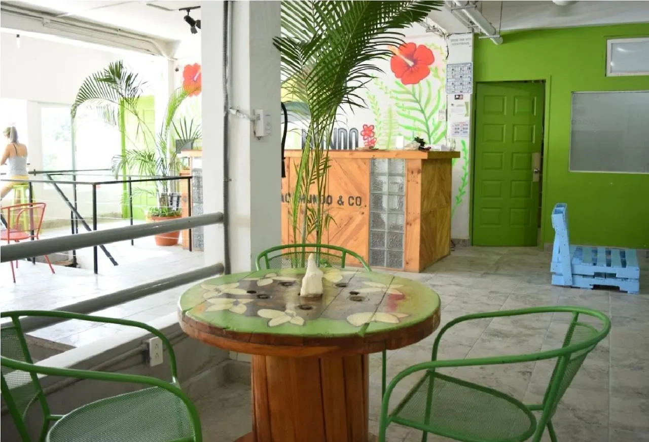 Guacamundo Beach Hostel 5Th. Ave Playa del Carmen