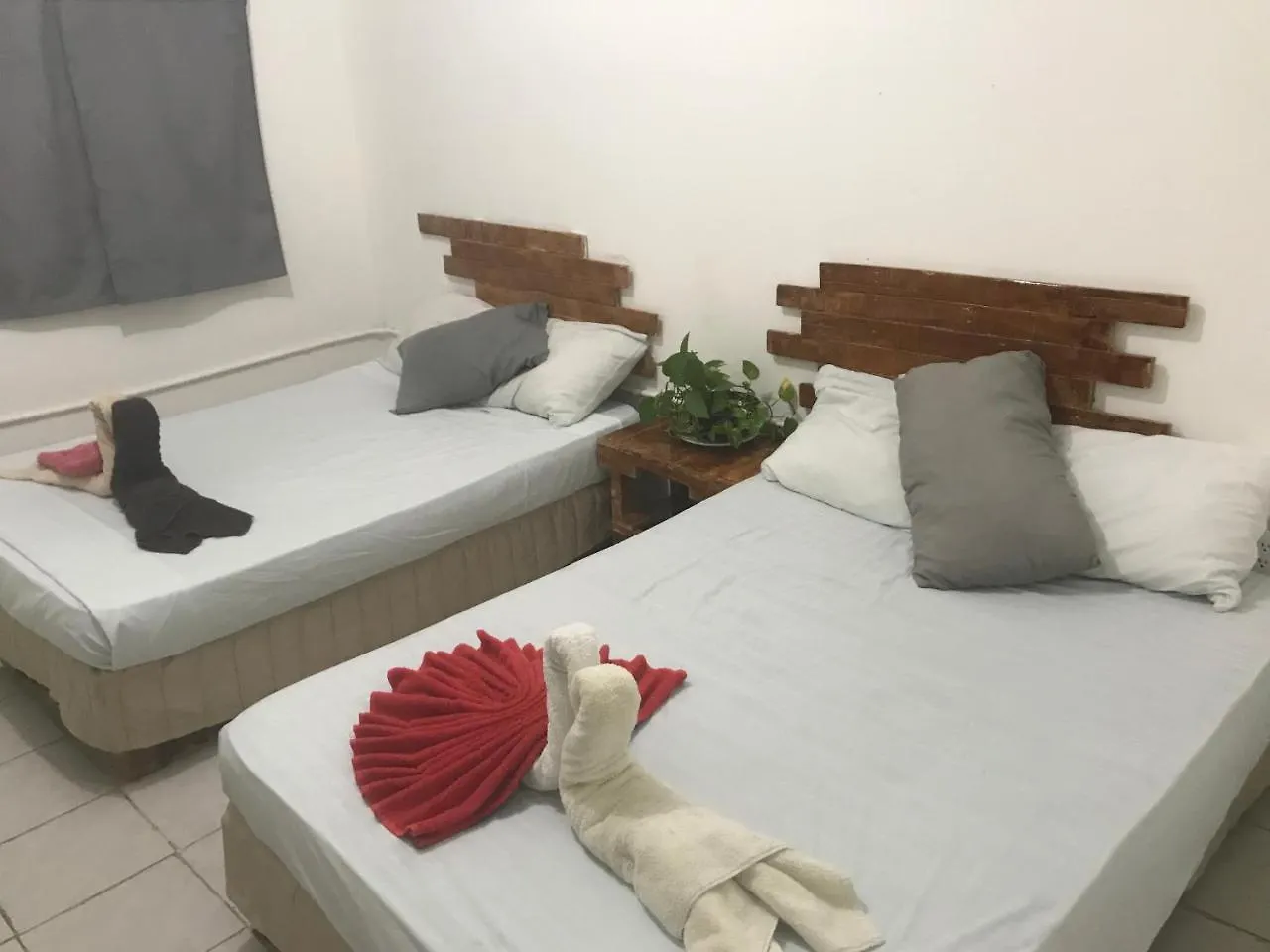 Guacamundo Beach Hostel 5Th. Ave Playa del Carmen