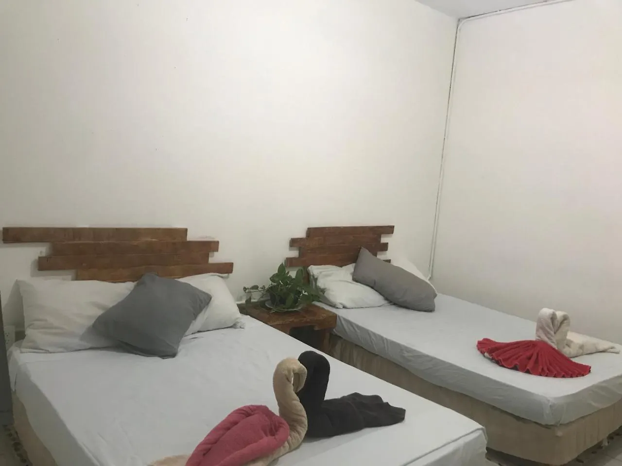 Guacamundo Beach Hostel 5Th. Ave Playa del Carmen Mexico
