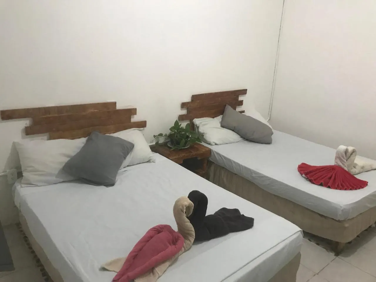 Guacamundo Beach Hostel 5Th. Ave Playa del Carmen