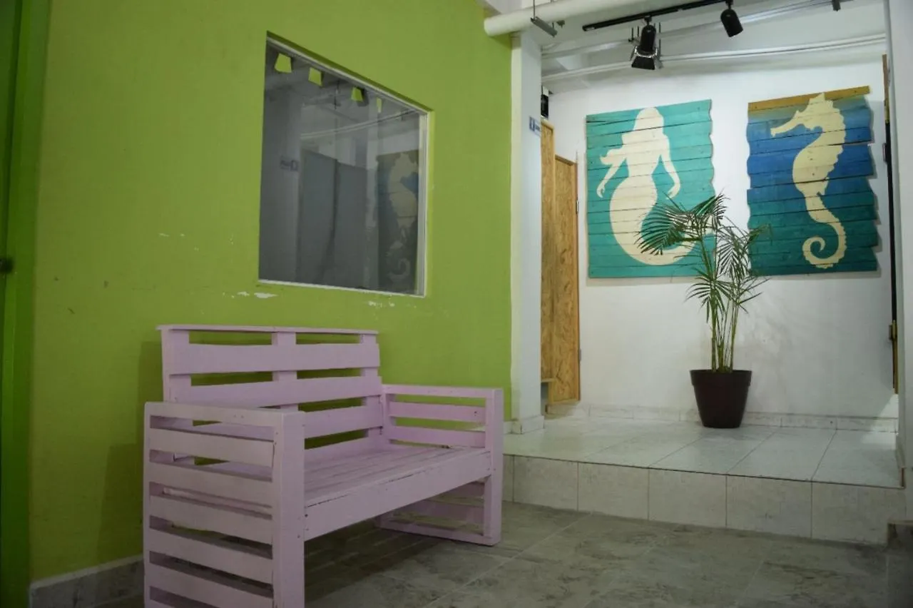 Guacamundo Beach Hostel 5Th. Ave Playa del Carmen Messico