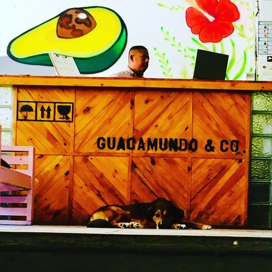 Guacamundo Beach Hostel 5Th. Ave Playa del Carmen