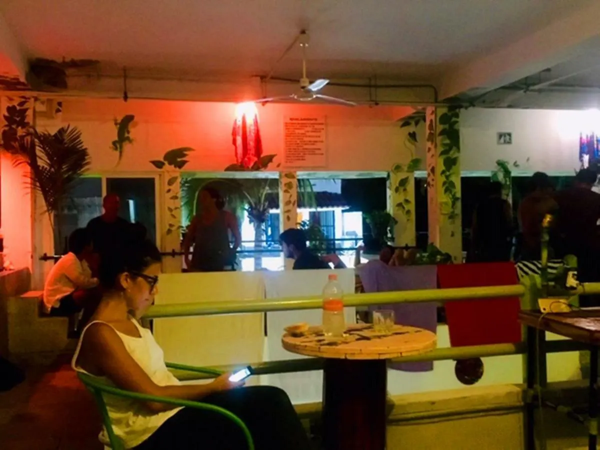 Guacamundo Beach Hostel 5Th. Ave Playa del Carmen