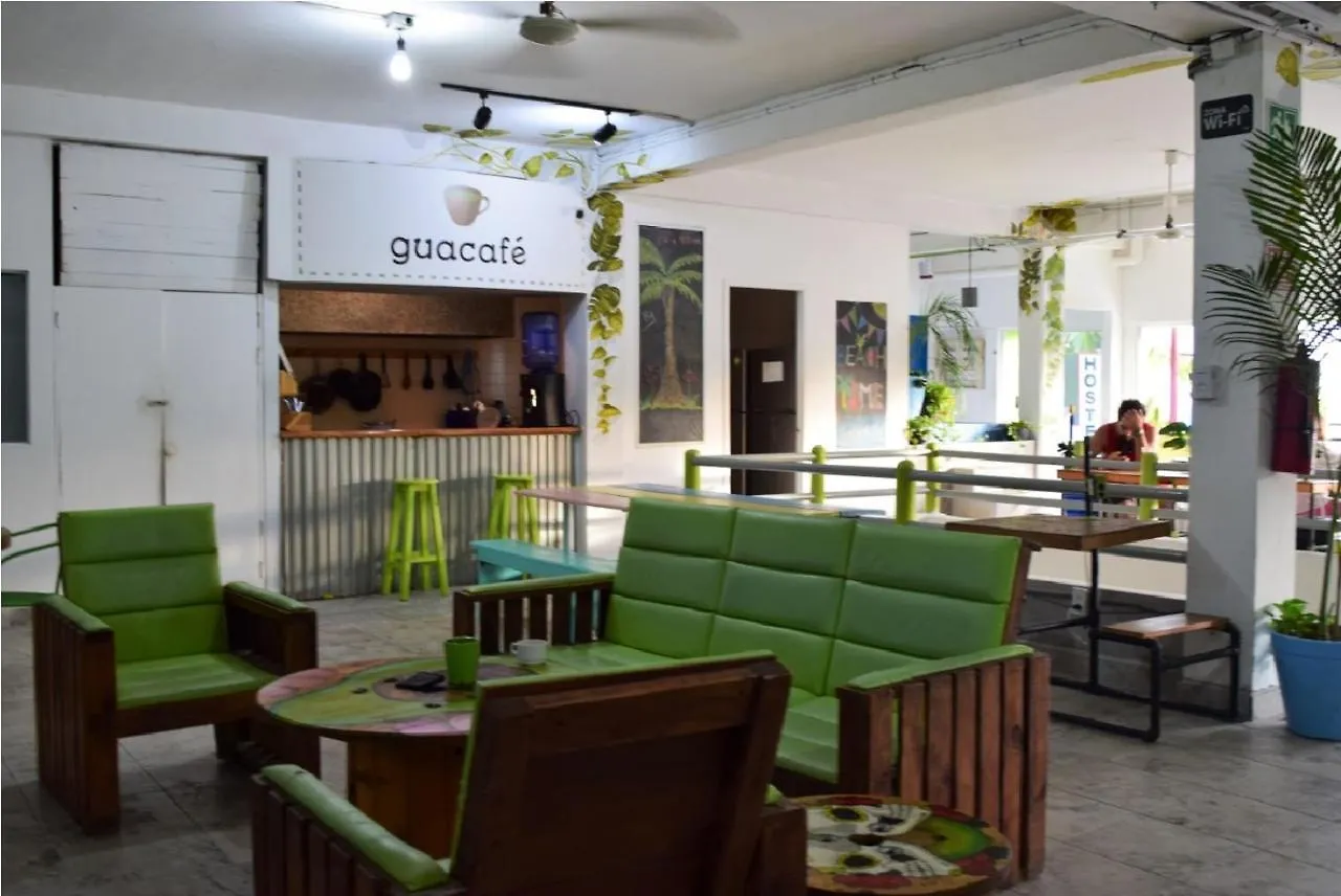 Guacamundo Beach Hostel 5Th. Ave Playa del Carmen